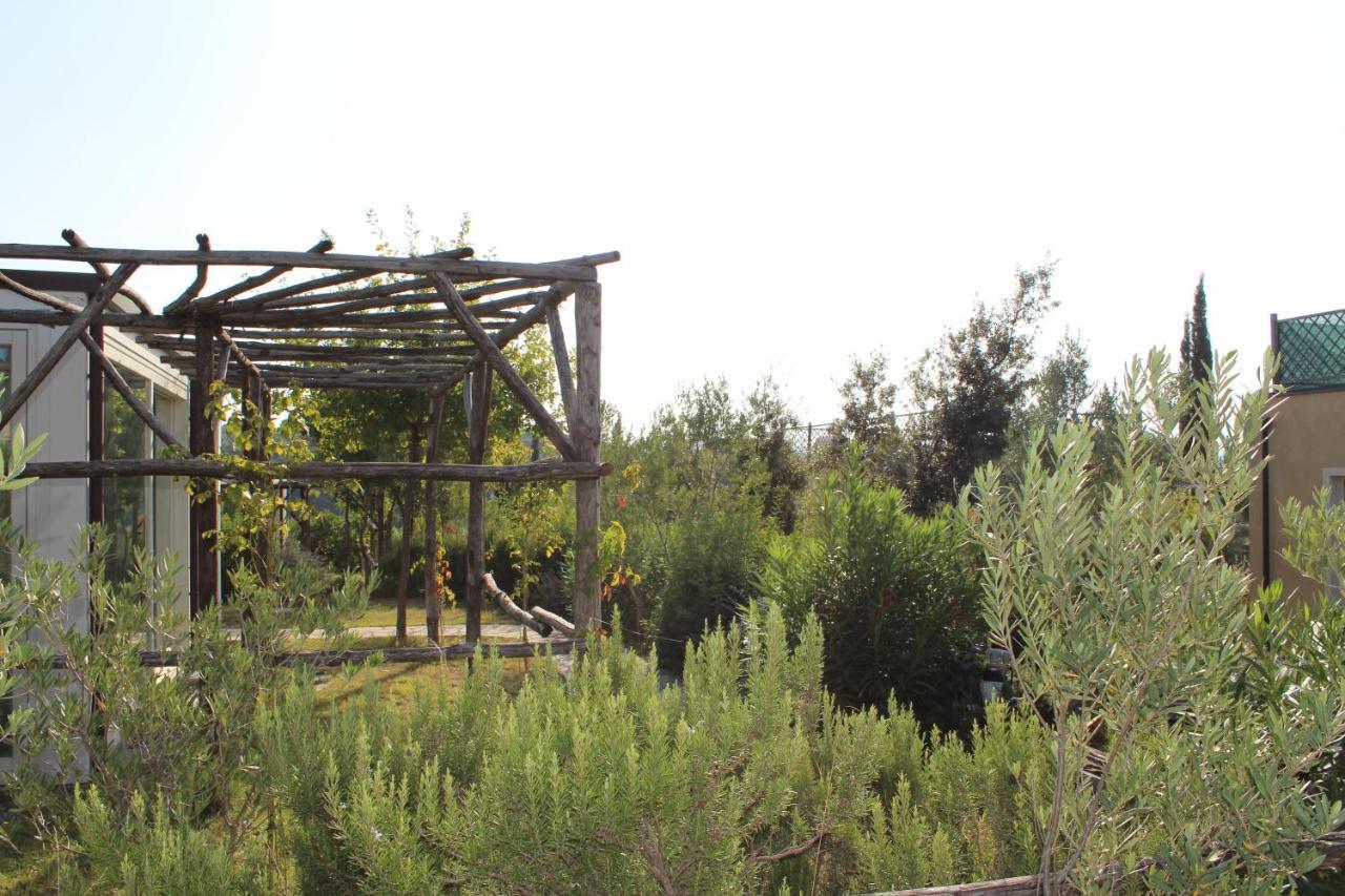 Toscana Biovillage Cecina  Exterior photo